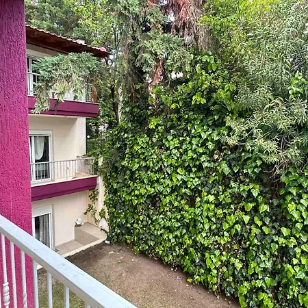 아파트 Kriopigi Apartments 크리오피지